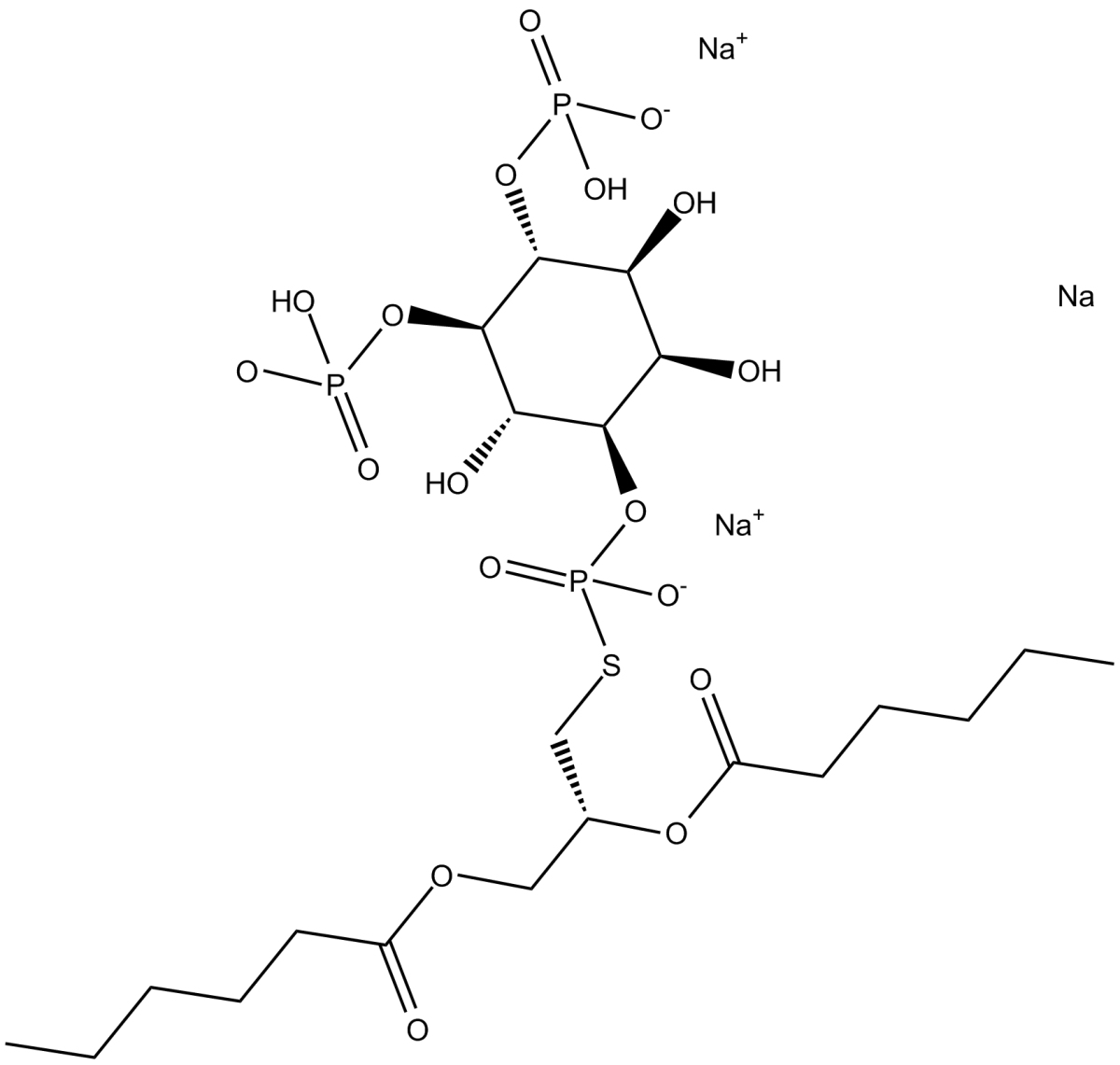 PLC thio-PIP2(sodium salt)ͼƬ