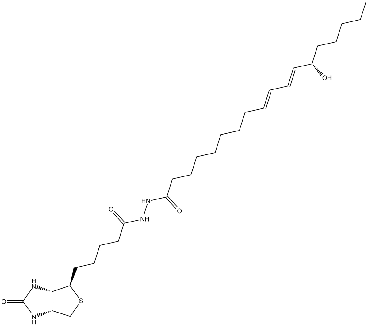 13(S)-HODE-biotinͼƬ