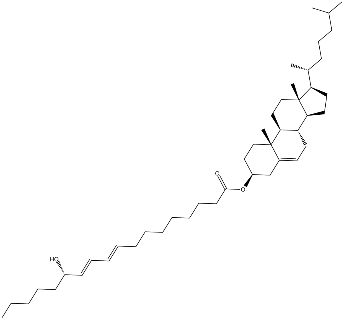 13(S)-HODE cholesteryl esterͼƬ