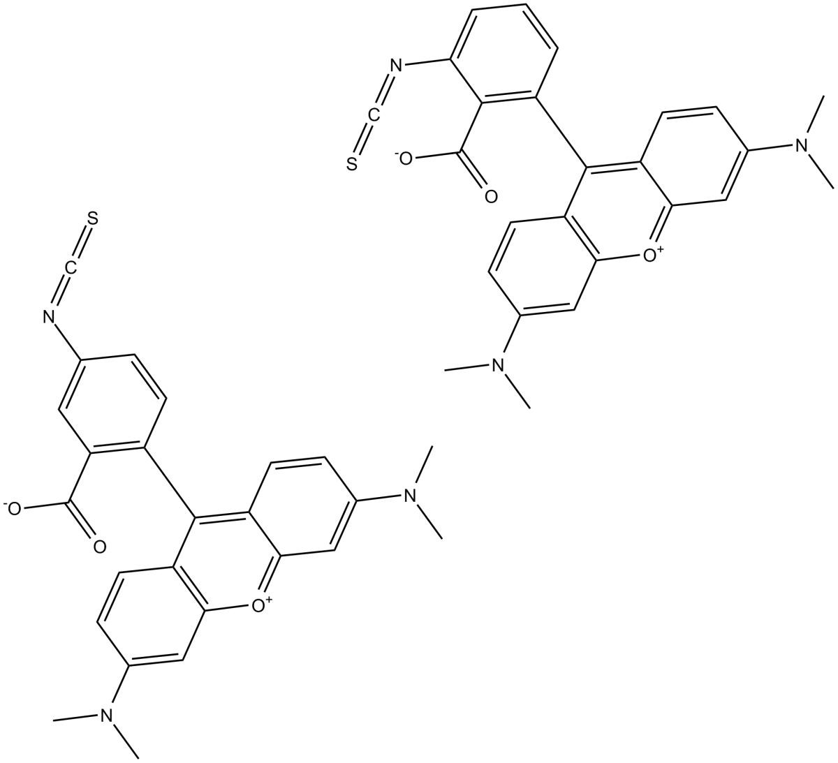 Tetramethylrhodamine isothiocyanate(mixed isomers)ͼƬ