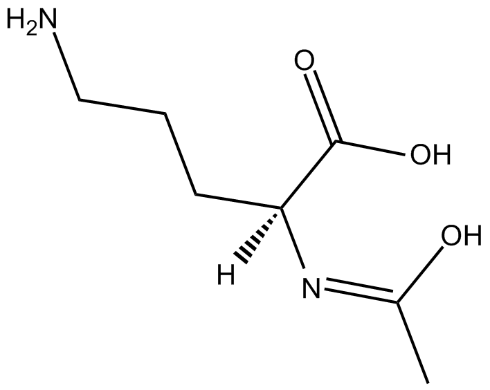 N-AcetylornithineͼƬ