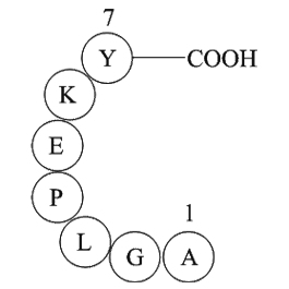 amyloid A protein fragment [Homo sapiens]ͼƬ