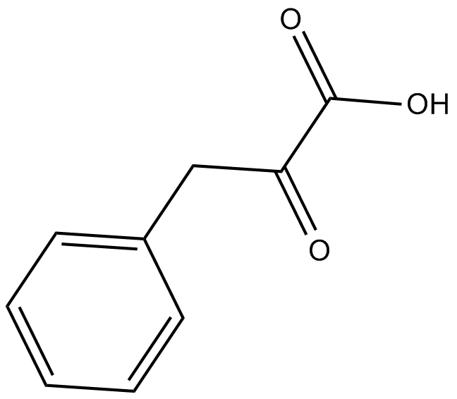 Phenylalanine & tyrosine metabolismͼƬ