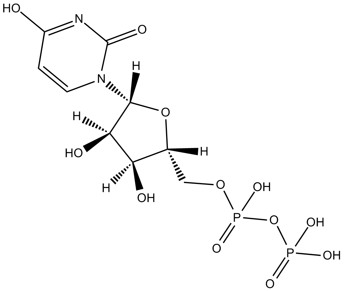 UDP图片