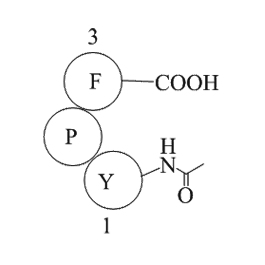 Fas C-Terminal TripeptideͼƬ