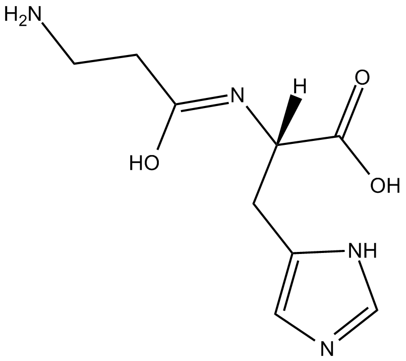 carnosineͼƬ