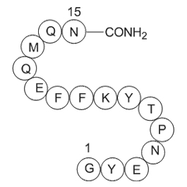 Amyloid Precursor C-Terminal PeptideͼƬ