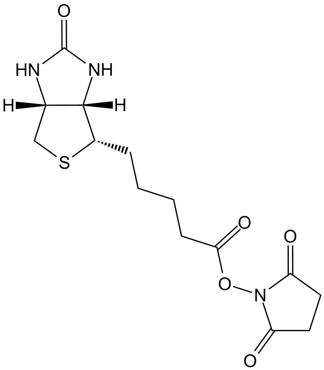 NHS-BiotinͼƬ