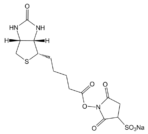 Sulfo-NHS-BiotinͼƬ