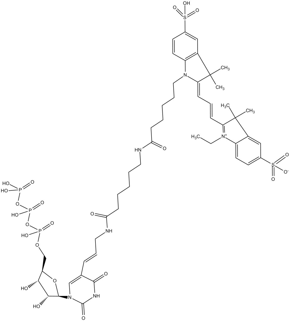 Aminoallyl-UTP-X-Cy3ͼƬ