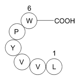 Myelopeptide-2(MP-2)ͼƬ