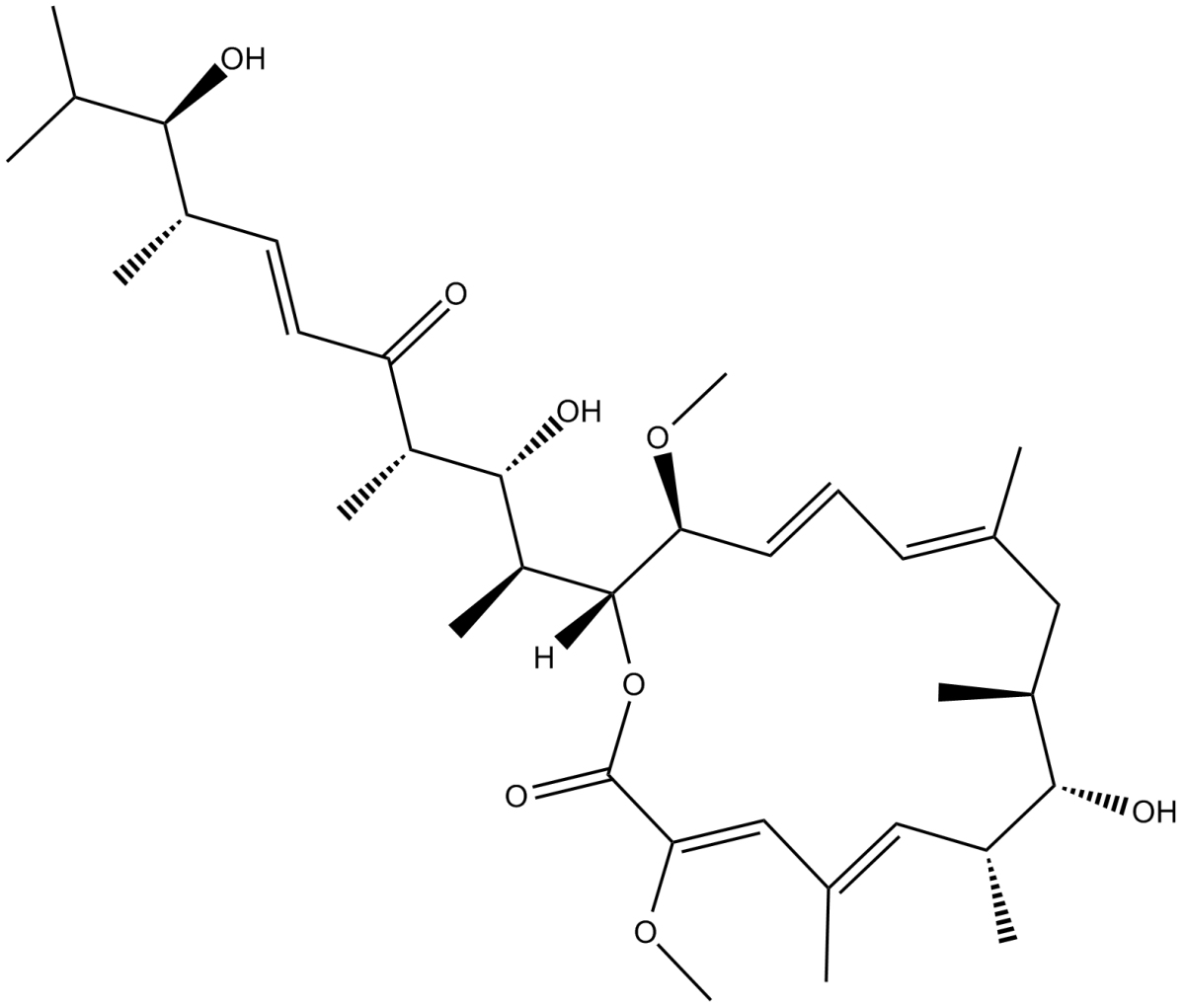 Bafilomycin DͼƬ