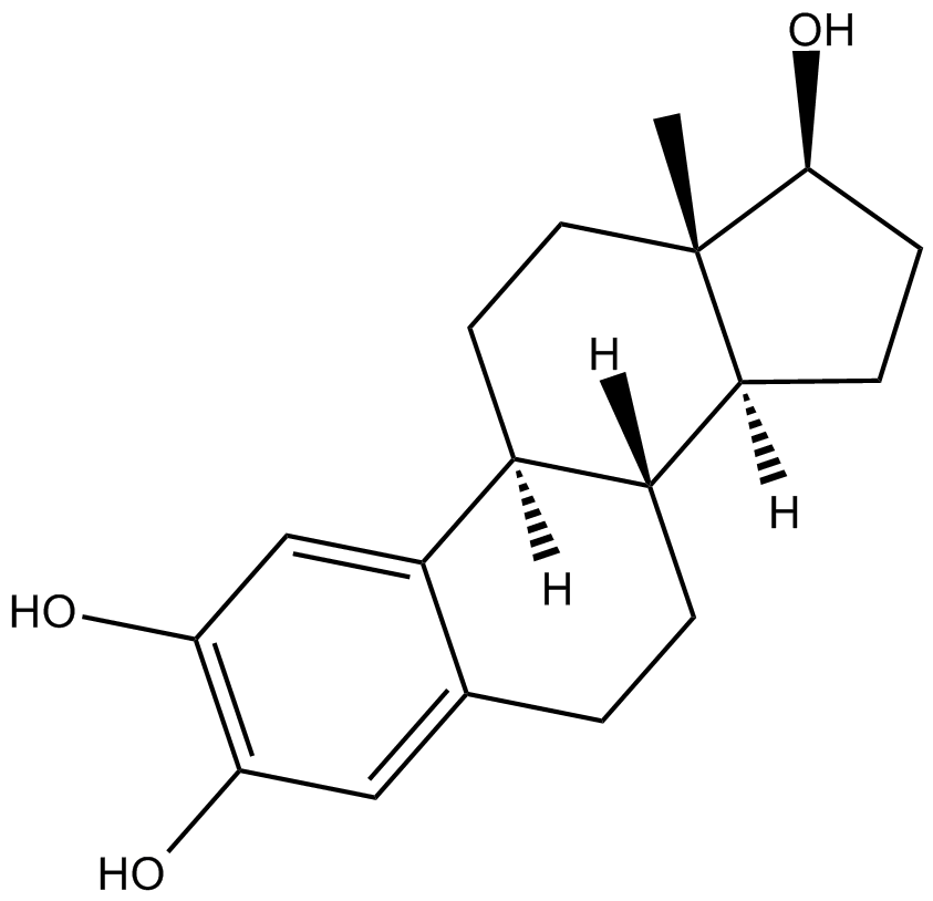 2-HydroxyestradiolͼƬ