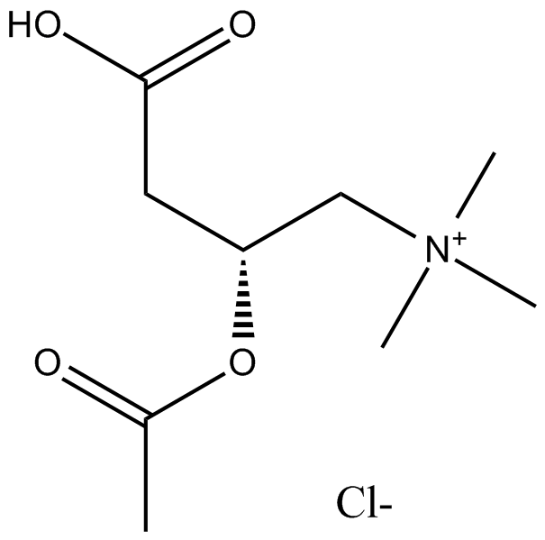 L-Acetylcarnitine(hydrochloride)ͼƬ