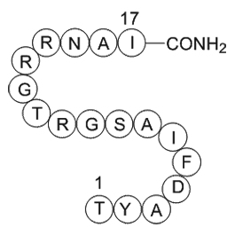 PKA inhibitor fragment(6-22)amideͼƬ