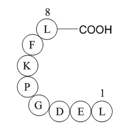 eukaryotic translation elongation factor 1 alpha 1(EEF1A1)(387-394)[Multiple species]ͼƬ