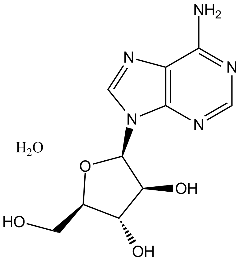 Vidarabine monohydrateͼƬ