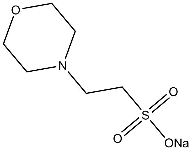 MES sodium saltͼƬ