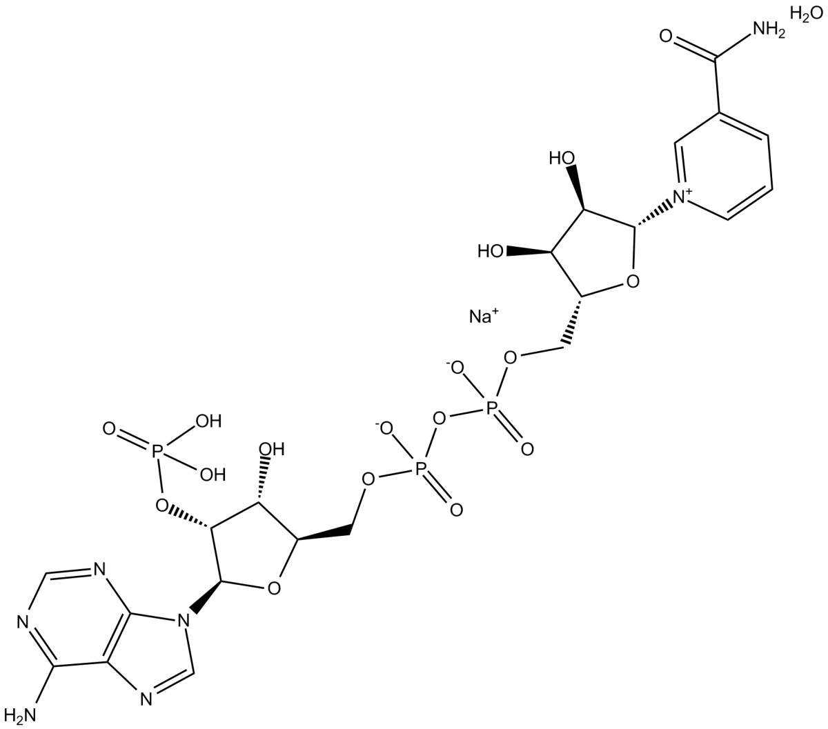 NADP+(sodium salt hydrate)ͼƬ