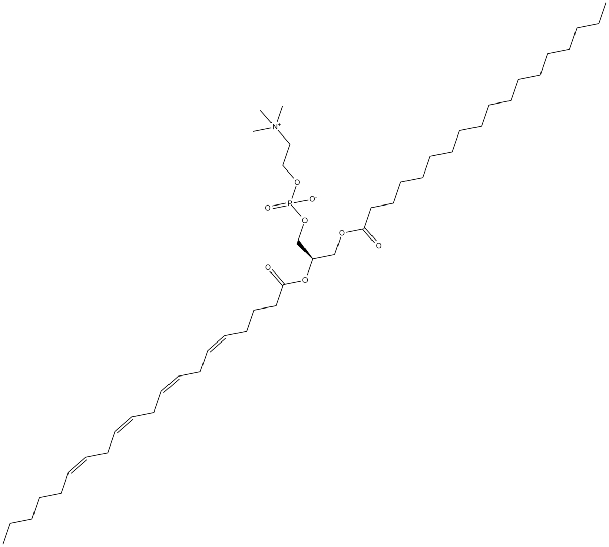 1-Stearoyl-2-Arachidonoyl PCͼƬ