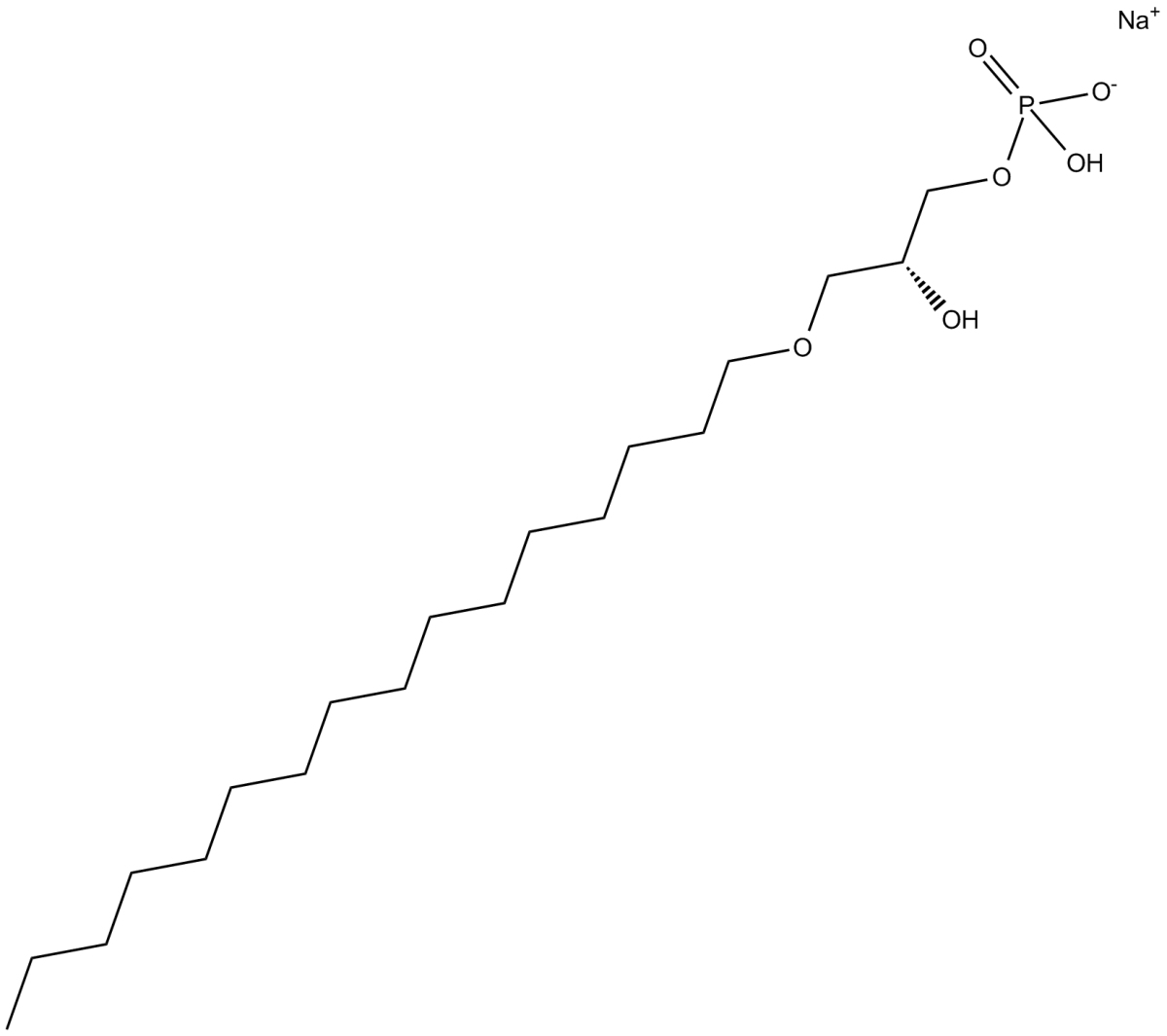 1-Hexadecyl Lysophosphatidic Acid(sodium salt)ͼƬ