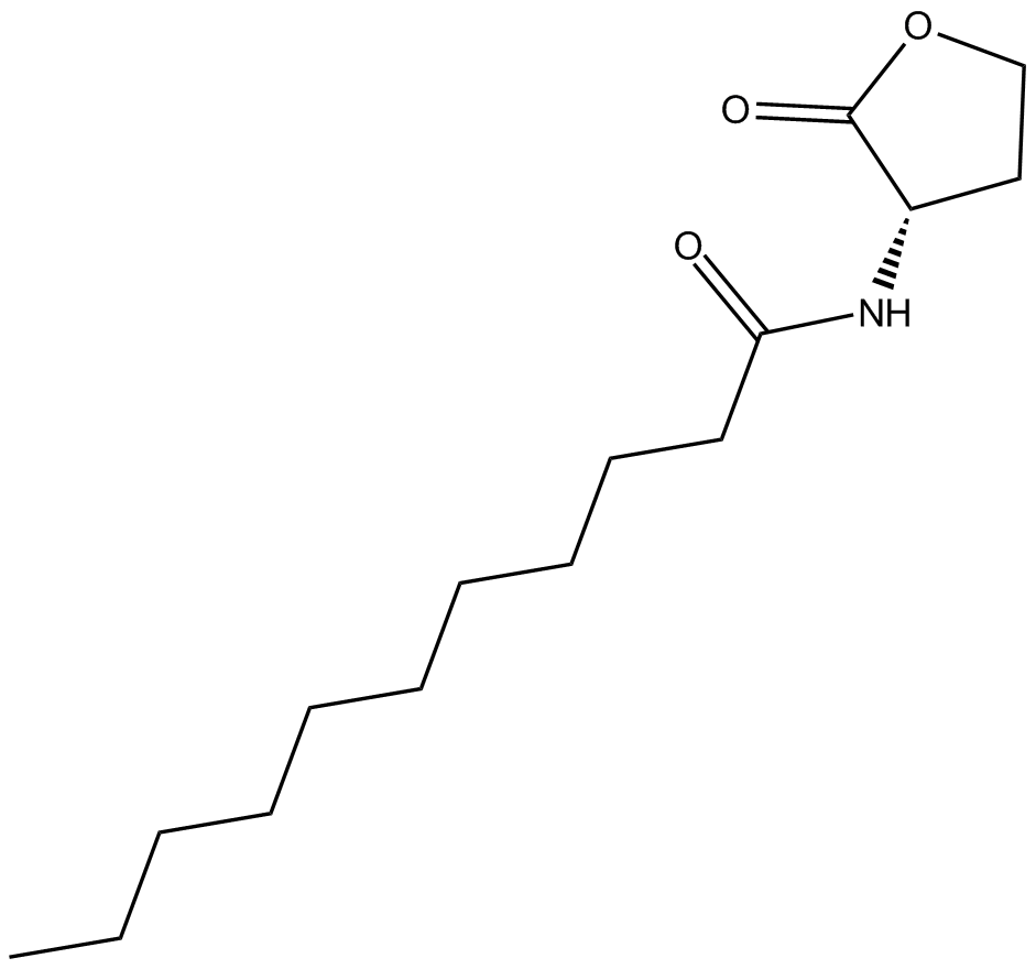 N-undecanoyl-L-Homoserine lactoneͼƬ