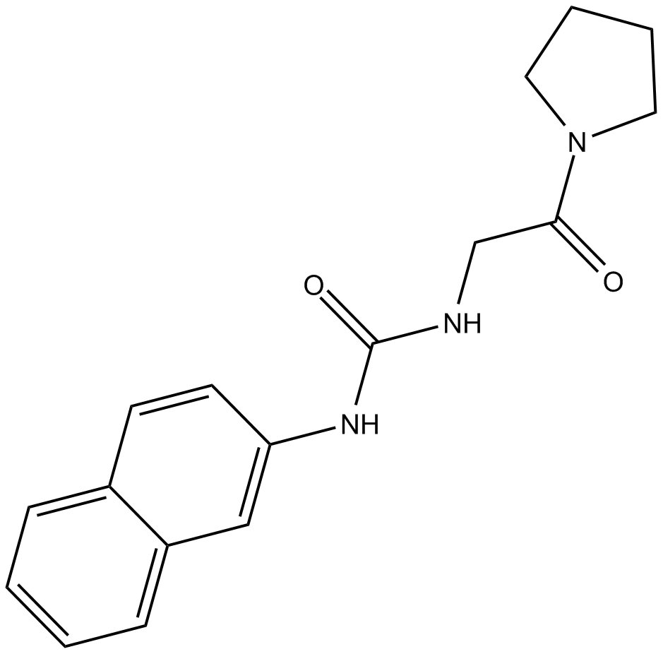 XY1ͼƬ