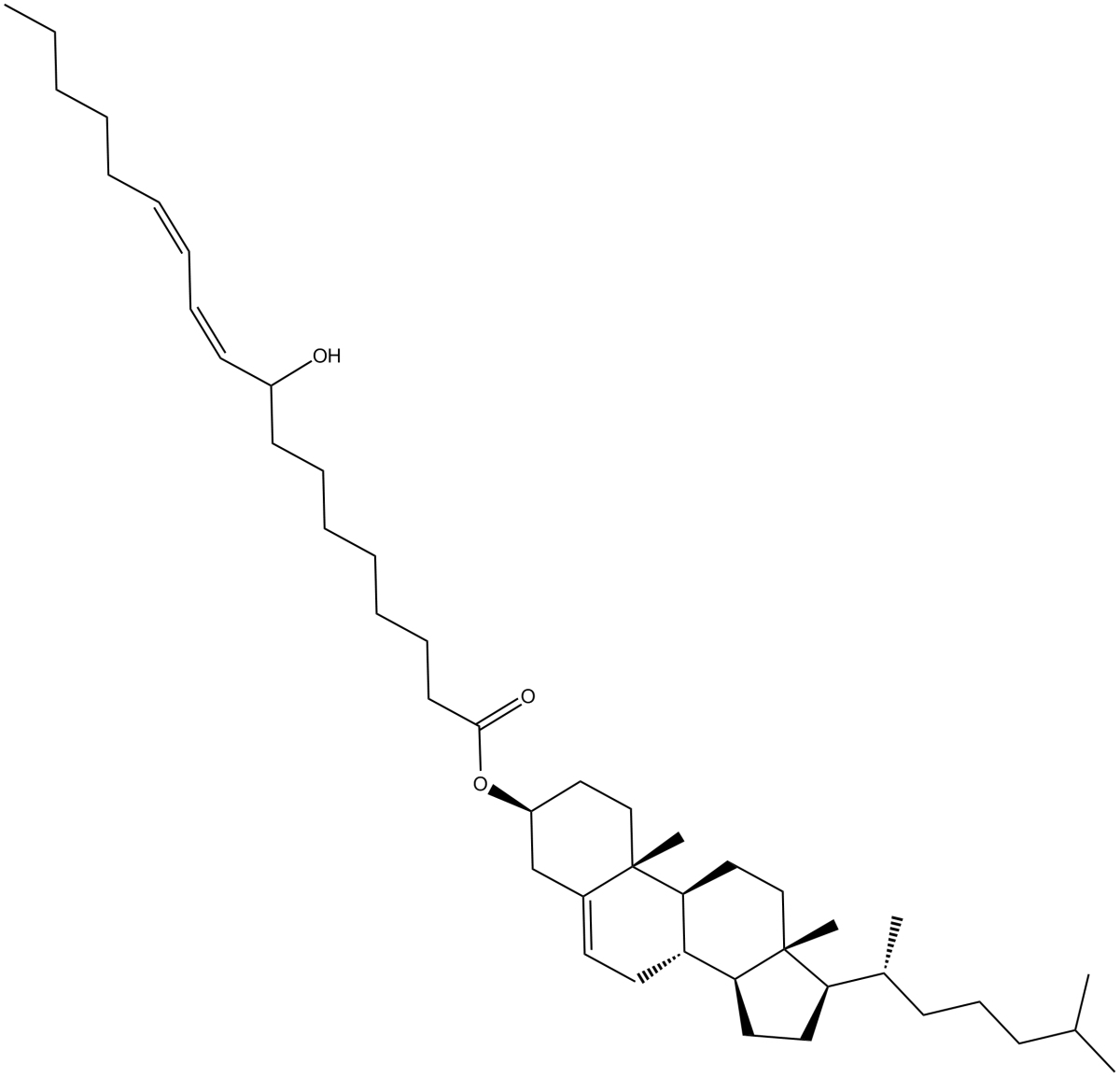 ()9-HODE cholesteryl esterͼƬ