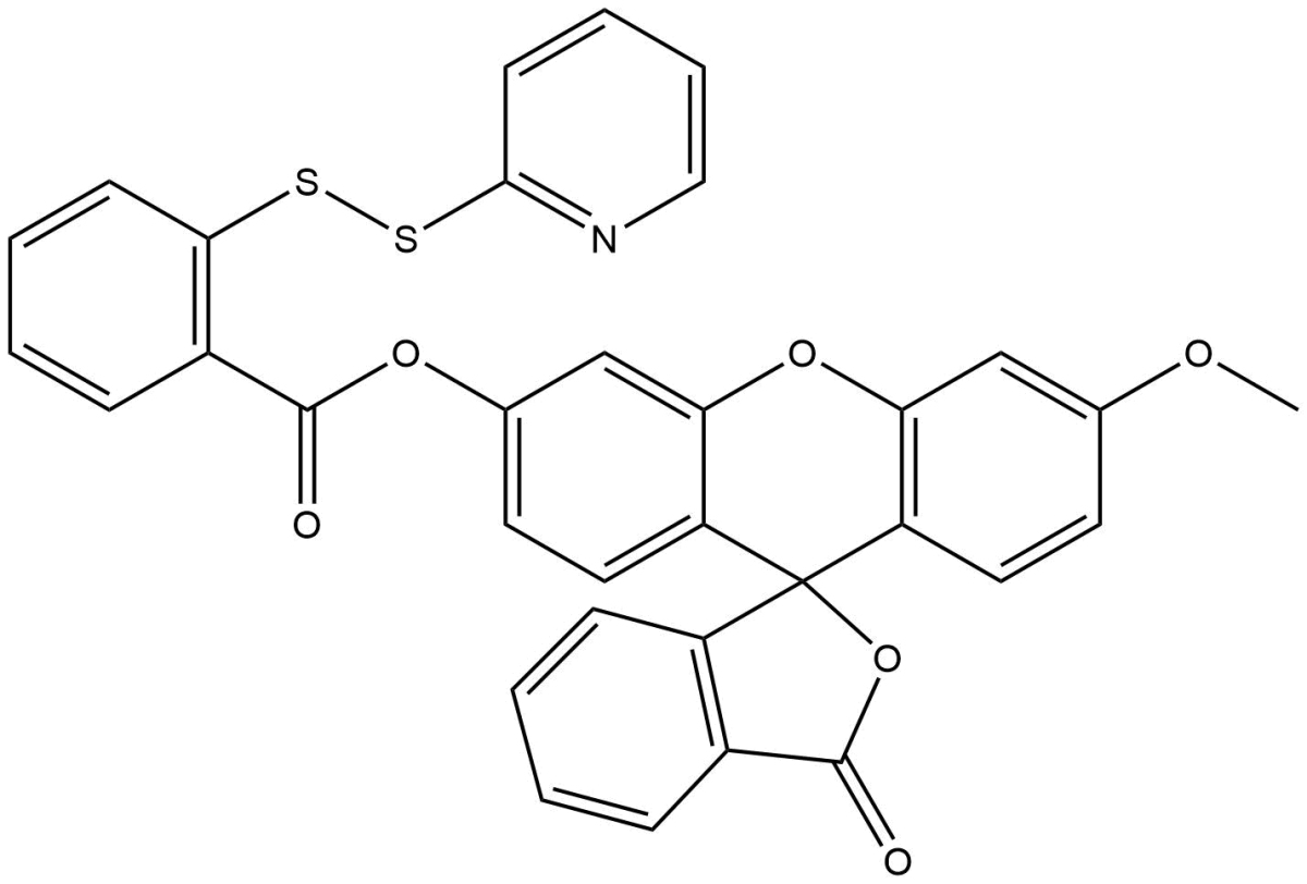 WSP-1ͼƬ