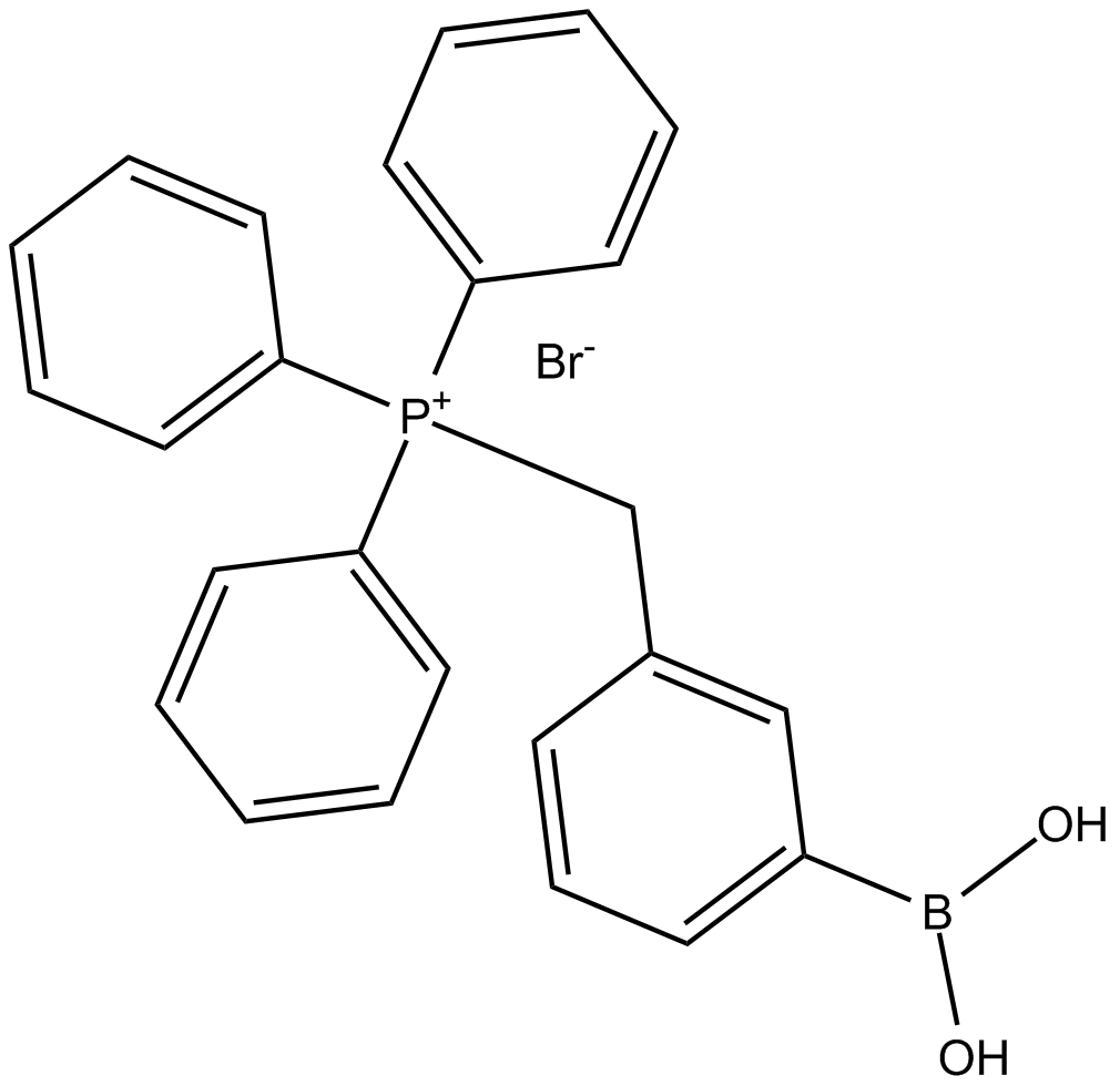 MitoBͼƬ