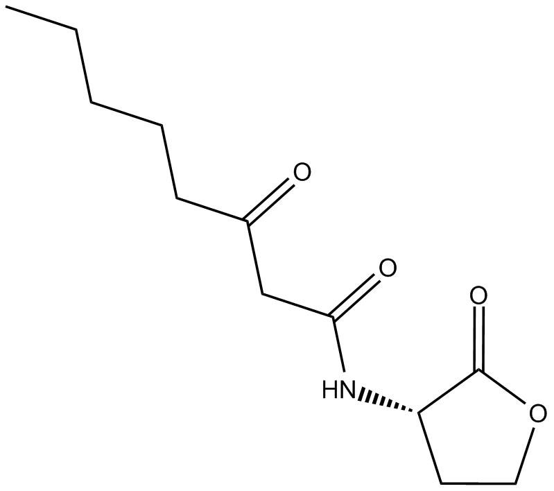 N-3-oxo-octanoyl-L-Homoserine lactoneͼƬ