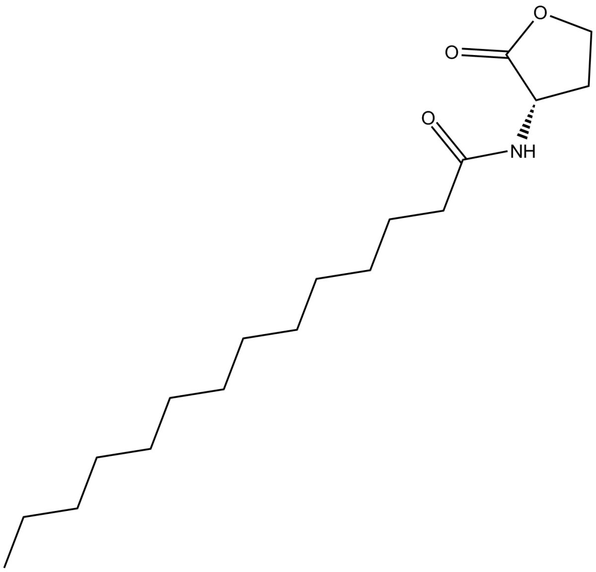 N-tetradecanoyl-L-Homoserine lactoneͼƬ