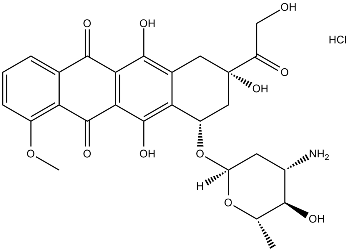 Epirubicin HClͼƬ