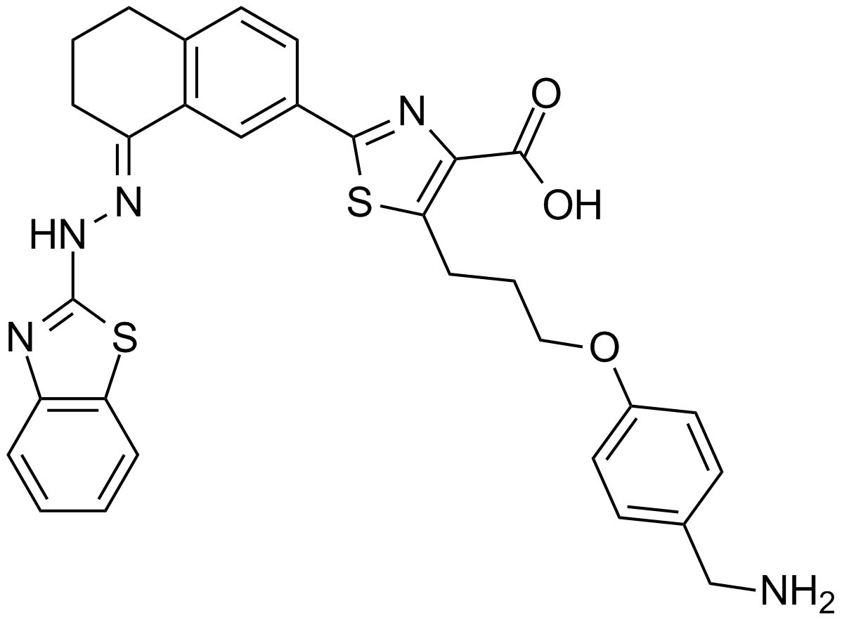 WEHI-539ͼƬ