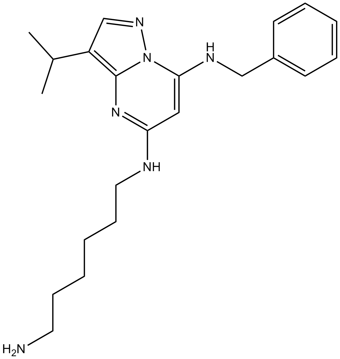 BS-181图片