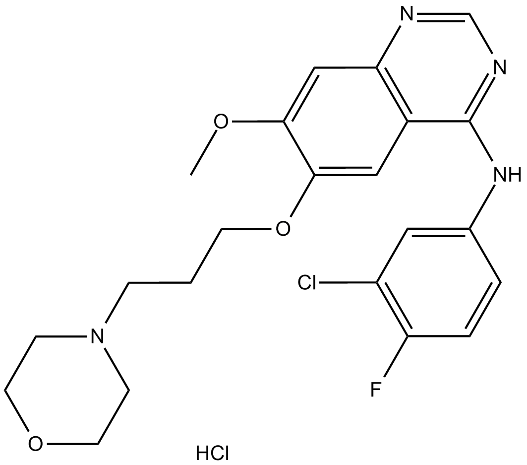 Gefitinib hydrochlorideͼƬ