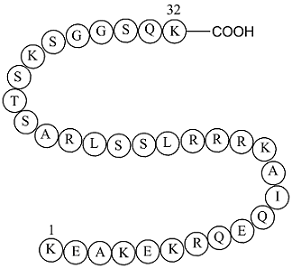 S6 Kinase Substrate Peptide 32ͼƬ