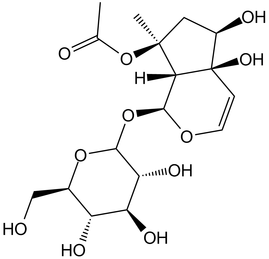 8-O-AcetylharpagideͼƬ