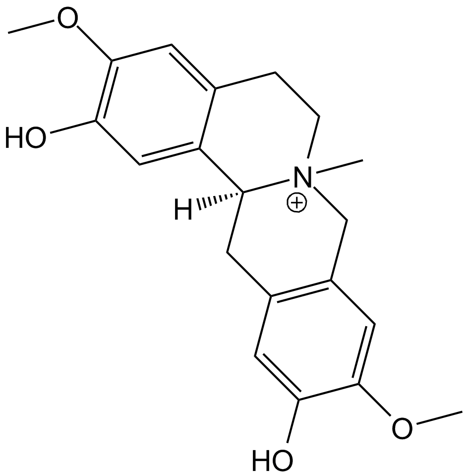 Phellodendrine图片