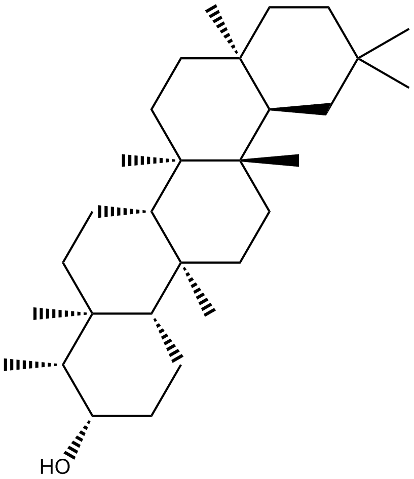 EpifriedelanolͼƬ