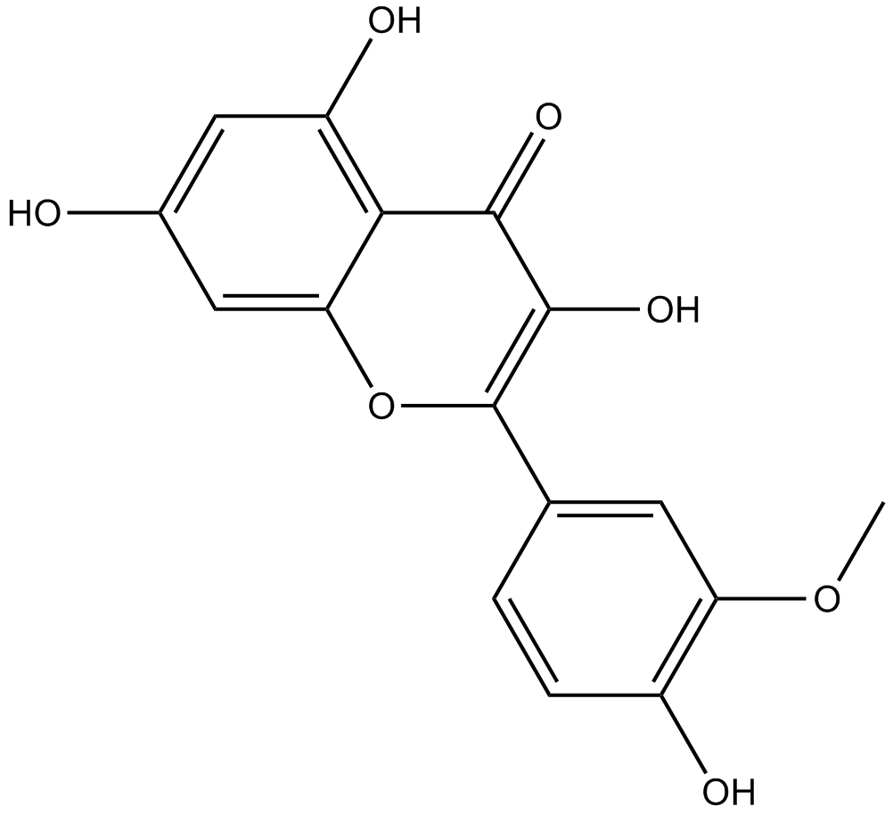 IsorhamnetinͼƬ