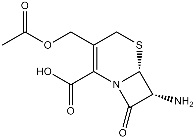 7-Aminocephalosporanic acidͼƬ