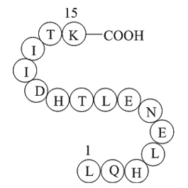 alpha-1 antitrypsin fragmentͼƬ