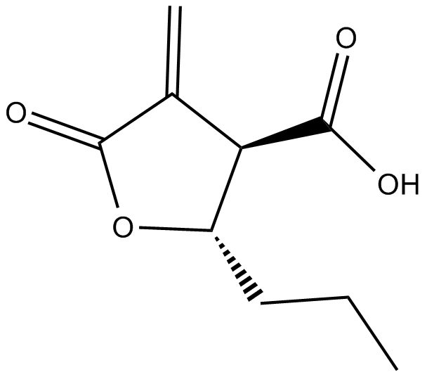 Butyrolactone 3图片