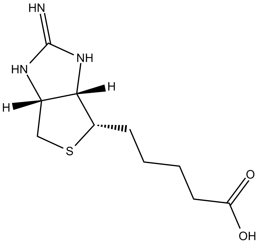 2-IminobiotinͼƬ