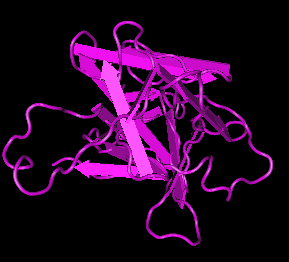 IL-18,human recombinant proteinͼƬ