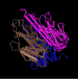 TNF-alpha,recombinant rat proteinͼƬ