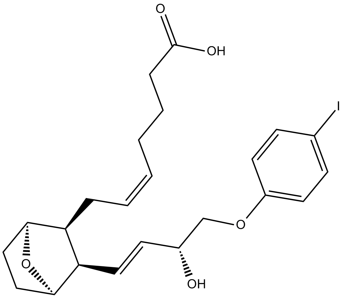 I-BOPͼƬ