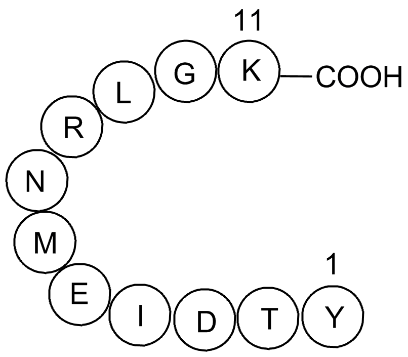 VSV-G PeptideͼƬ