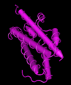 Oncostatin M,human recombinant proteinͼƬ